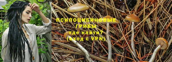 тгк Балабаново